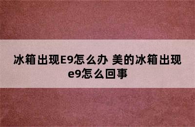 冰箱出现E9怎么办 美的冰箱出现e9怎么回事